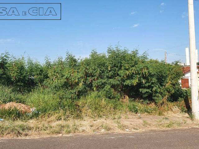 Terreno para Venda em Bauru - 3
