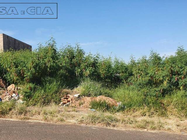 Terreno para Venda em Bauru - 2