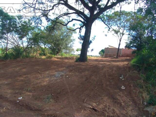 Terreno para Venda em Bauru - 5