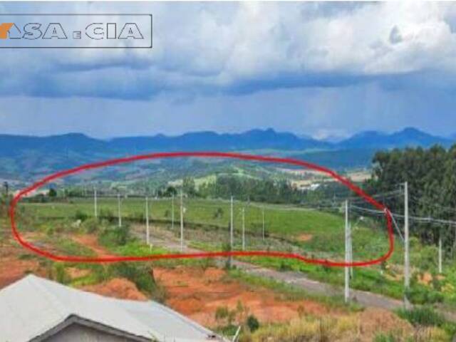 #5714 - Área para Venda em Cândido de Abreu - PR - 3