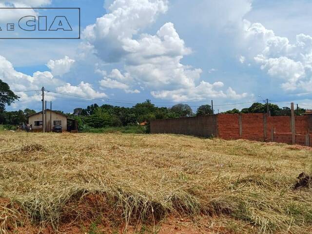 #5744N - Terreno para Venda em Pirajuí - SP - 1