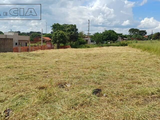 Terreno para Venda em Pirajuí - 5