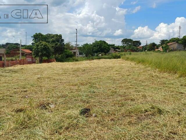 Terreno para Venda em Pirajuí - 4