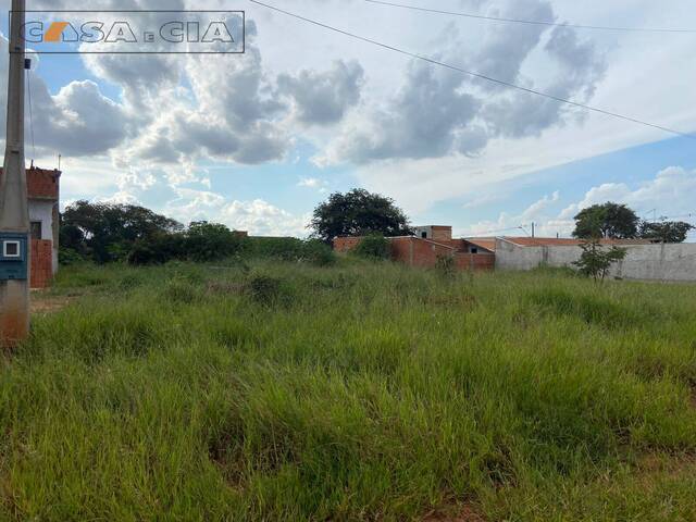 Terreno para Venda em Bauru - 4