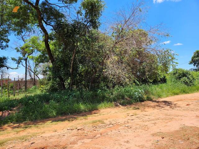 Terreno para Venda em Bauru - 5