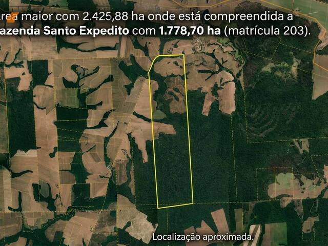 #5815L - Fazenda para Venda em Itanhangá - MT - 1